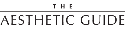 theaestheticguide.com